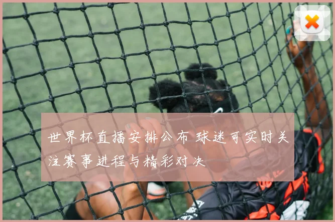 世界杯直播安排公布 球迷可实时关注赛事进程与精彩对决