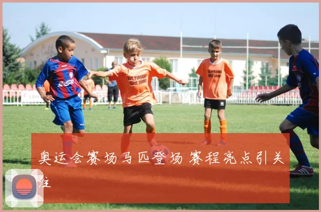 奥运会赛场马匹登场 赛程亮点引关注
