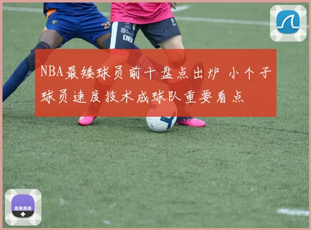 NBA最矮球员前十盘点出炉 小个子球员速度技术成球队重要看点