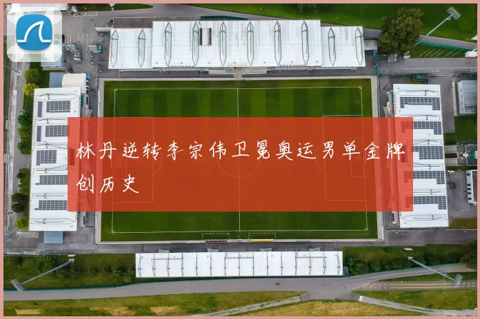 林丹逆转李宗伟卫冕奥运男单金牌创历史