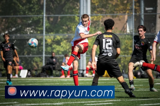 App Interface Preview